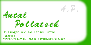 antal pollatsek business card